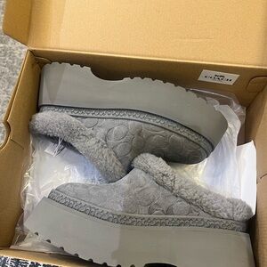 Coach Women's Cecelia Clogs in Charcoal Signature Shearling